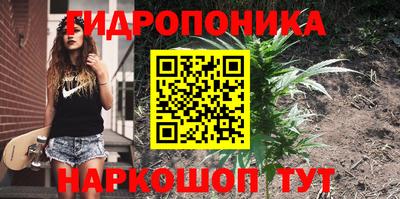 винт Гатчина