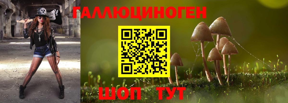 Галлюциногенные грибы Magic Shrooms Заречный